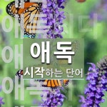 애독 시작 단어