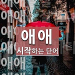 애애로 시작하는 단어는? 8개