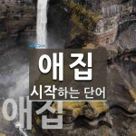 애집으로 시작하는 단어는? 2개