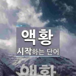 액황으로 시작하는 단어는? 1개