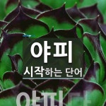 야피로 시작하는 단어는? 1개