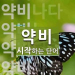 약비로 시작하는 단어는? 6개