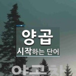 양곱으로 시작하는 단어는? 1개