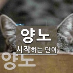 양노로 시작하는 단어는? 2개