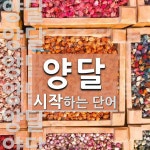 양달로 시작하는 단어는? 11개