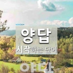 양답으로 시작하는 단어는? 1개