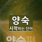 양숙 시작 단어