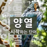 양열로 시작하는 단어는? 7개