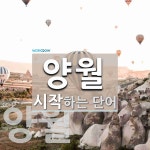 양월 시작 단어