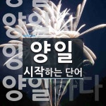 양일로 시작하는 단어는? 5개