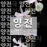 양전으로 시작하는 단어는? 27개