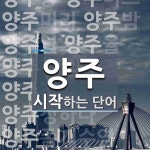 양주로 시작하는 단어는? 32개