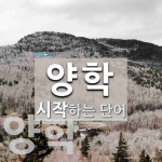 양학으로 시작하는 단어는? 2개