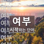 여부로 시작하는 단어는? 12개