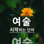 여술로 시작하는 단어는? 1개