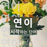 연이로 시작하는 단어는? 8개