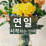 연일로 시작하는 단어는? 6개