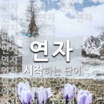 연자로 시작하는 단어는? 42개