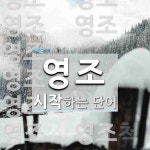 영조로 시작하는 단어는? 22개