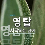 영탑으로 시작하는 단어는? 1개