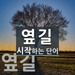 옆길 시작 단어