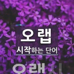 오랩 시작 단어