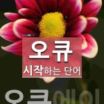 오큐 시작 단어