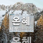 온혜로 시작하는 단어는? 1개