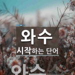 와수로 시작하는 단어는? 1개