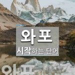 와포 시작 단어