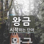 왕금으로 시작하는 단어는? 1개