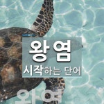 왕염으로 시작하는 단어는? 1개