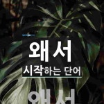 왜서로 시작하는 단어는? 1개