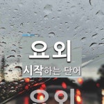 요외로 시작하는 단어는? 1개