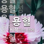 용혈로 시작하는 단어는? 30개