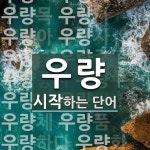 우량으로 시작하는 단어는? 47개