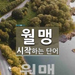 월맹으로 시작하는 단어는? 1개