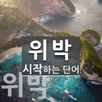 위박 시작 단어