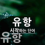 유항 시작 단어