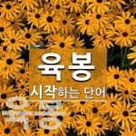 육봉으로 시작하는 단어는? 2개