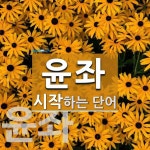 윤좌로 시작하는 단어는? 2개