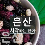 은산으로 시작하는 단어는? 4개