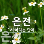은전으로 시작하는 단어는? 2개