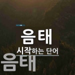 음태로 시작하는 단어는? 2개