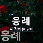 응례로 시작하는 단어는? 2개