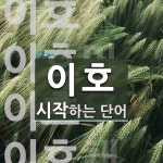 이호로 시작하는 단어는? 8개