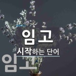 임고로 시작하는 단어는? 2개