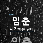 임춘 시작 단어