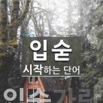입숟 시작 단어