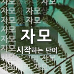 자모로 시작하는 단어는? 27개